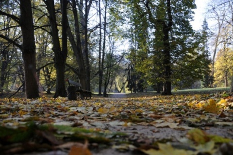 Kliknij na zdjęcie, żeby zobaczyć w pełnych wymiarach