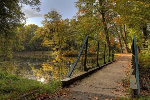 Kliknij na zdjęcie, żeby zobaczyć w pełnych wymiarach