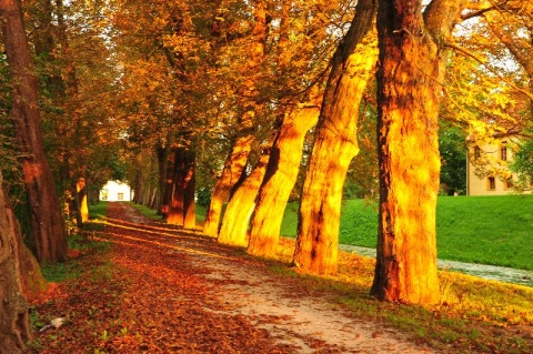 Kliknij na zdjęcie, żeby zobaczyć w pełnych wymiarach