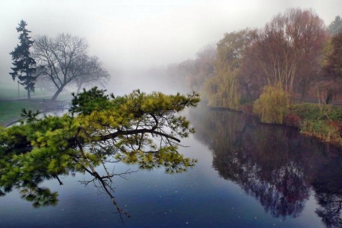 Kliknij na zdjęcie, żeby zobaczyć w pełnych wymiarach