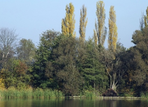 Kliknij na zdjęcie, żeby zobaczyć w pełnych wymiarach