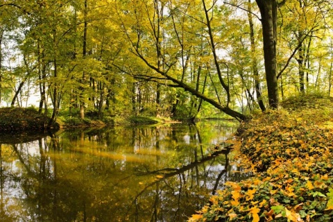 Kliknij na zdjęcie, żeby zobaczyć w pełnych wymiarach