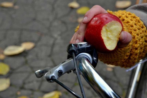 Kliknij na zdjęcie, żeby zobaczyć w pełnych wymiarach