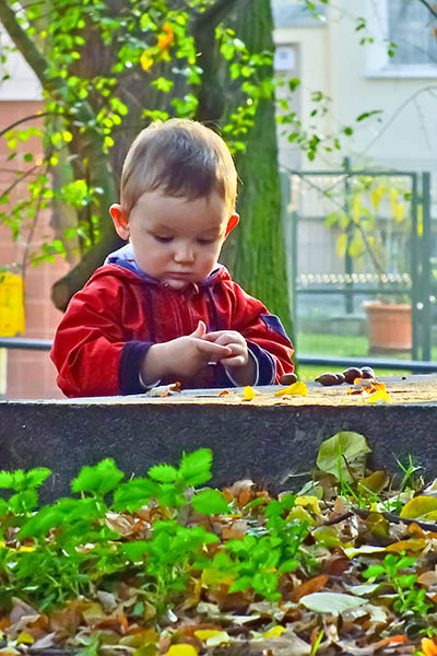 Kliknij na zdjęcie, żeby zobaczyć w pełnych wymiarach