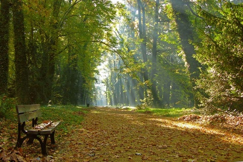 Kliknij na zdjęcie, żeby zobaczyć w pełnych wymiarach