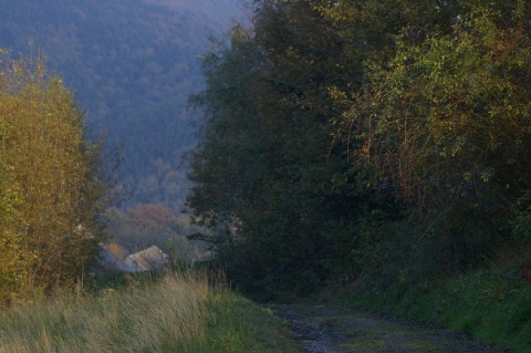 Kliknij na zdjęcie, żeby zobaczyć w pełnych wymiarach