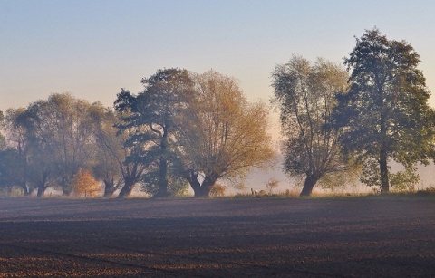 Kliknij na zdjęcie, żeby zobaczyć w pełnych wymiarach