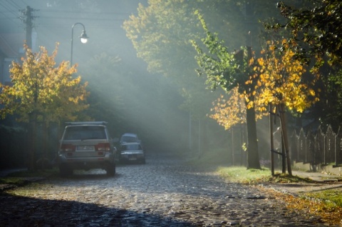 Kliknij na zdjęcie, żeby zobaczyć w pełnych wymiarach