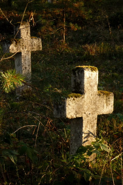 Kliknij na zdjęcie, żeby zobaczyć w pełnych wymiarach