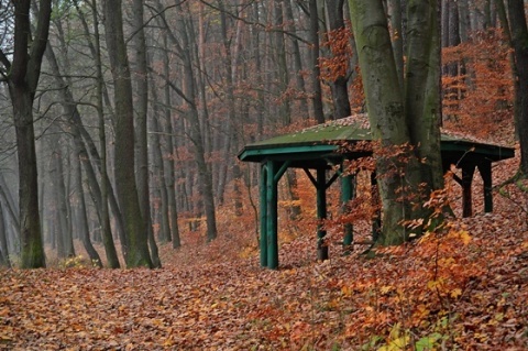 Kliknij na zdjęcie, żeby zobaczyć w pełnych wymiarach