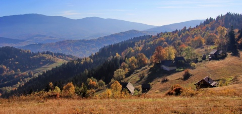 Kliknij na zdjęcie, żeby zobaczyć w pełnych wymiarach