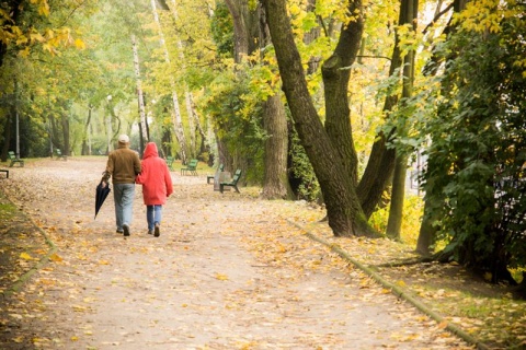 Kliknij na zdjęcie, żeby zobaczyć w pełnych wymiarach