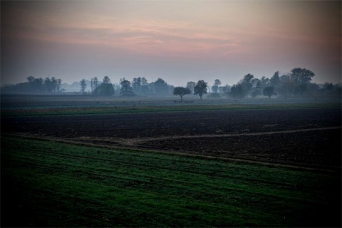 Kliknij na zdjęcie, żeby zobaczyć w pełnych wymiarach