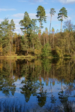 Kliknij na zdjęcie, żeby zobaczyć w pełnych wymiarach