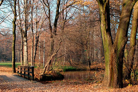 Kliknij na zdjęcie, żeby zobaczyć w pełnych wymiarach