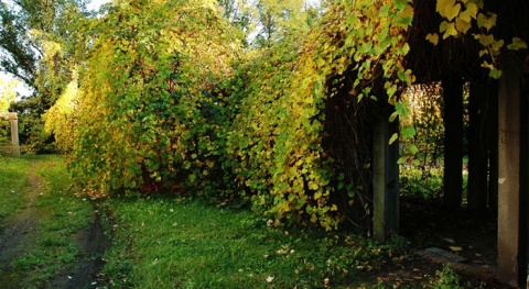 Kliknij na zdjęcie, żeby zobaczyć w pełnych wymiarach