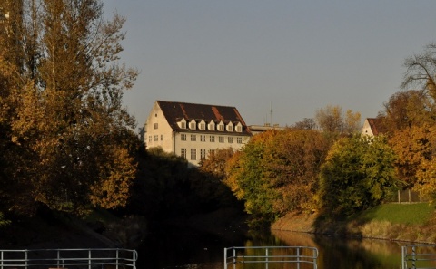 Kliknij na zdjęcie, żeby zobaczyć w pełnych wymiarach