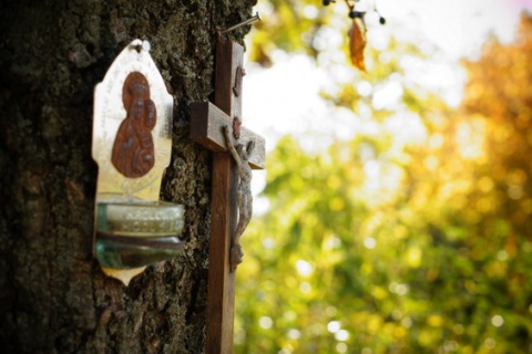 Kliknij na zdjęcie, żeby zobaczyć w pełnych wymiarach