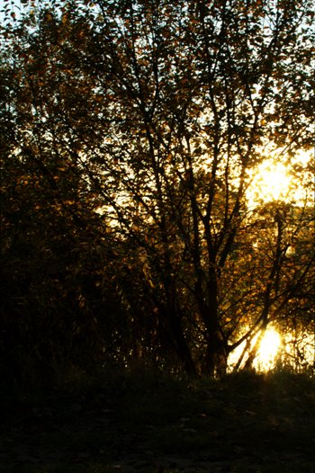 Kliknij na zdjęcie, żeby zobaczyć w pełnych wymiarach