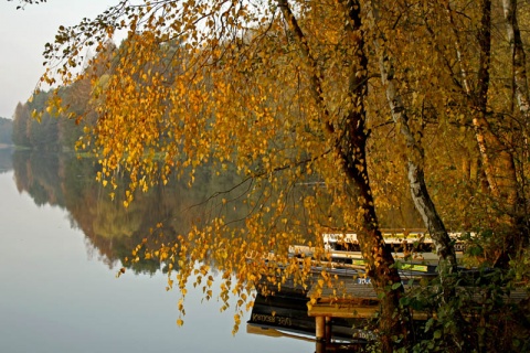 Kliknij na zdjęcie, żeby zobaczyć w pełnych wymiarach