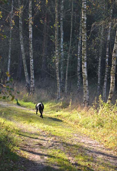 Kliknij na zdjęcie, żeby zobaczyć w pełnych wymiarach