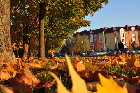 Kliknij na zdjęcie, żeby zobaczyć w pełnych wymiarach