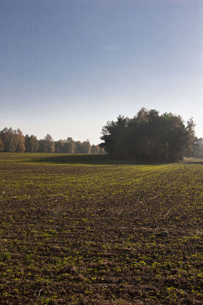 Kliknij na zdjęcie, żeby zobaczyć w pełnych wymiarach