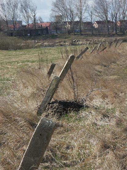 Kliknij na zdjęcie, żeby zobaczyć w pełnych wymiarach