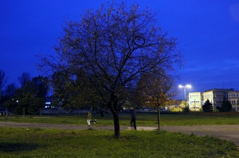 Kliknij na zdjęcie, żeby zobaczyć w pełnych wymiarach