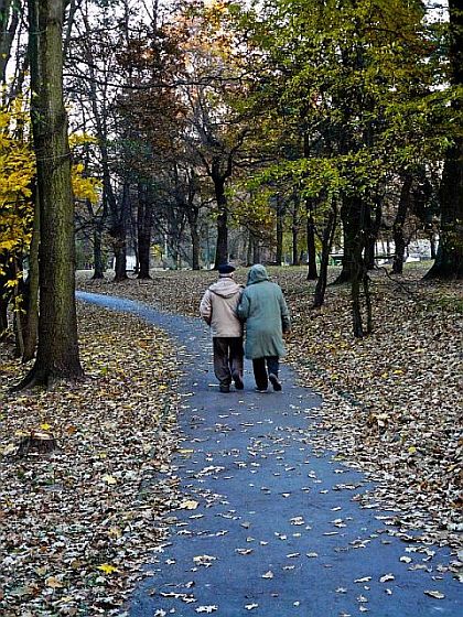 Kliknij na zdjęcie, żeby zobaczyć w pełnych wymiarach