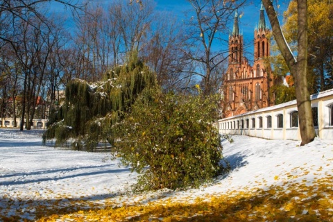 Kliknij na zdjęcie, żeby zobaczyć w pełnych wymiarach