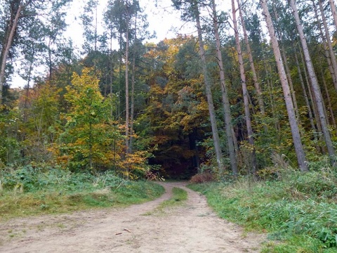 Kliknij na zdjęcie, żeby zobaczyć w pełnych wymiarach