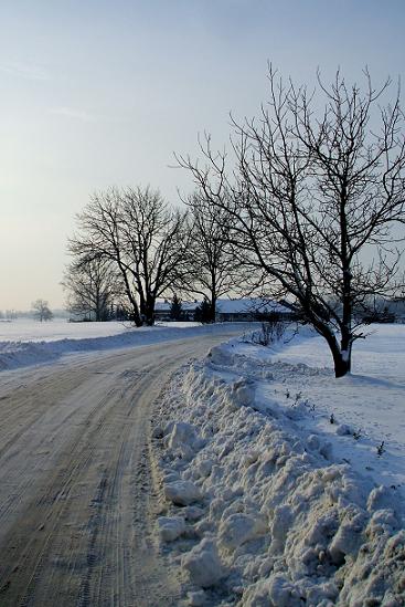 Kliknij na zdjęcie, żeby zobaczyć w pełnych wymiarach