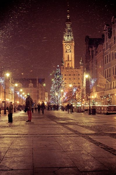 Kliknij na zdjęcie, żeby zobaczyć w pełnych wymiarach