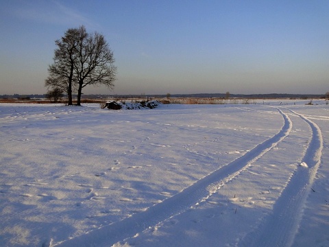 Kliknij na zdjęcie, żeby zobaczyć w pełnych wymiarach