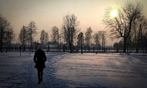 Kliknij na zdjęcie, żeby zobaczyć w pełnych wymiarach