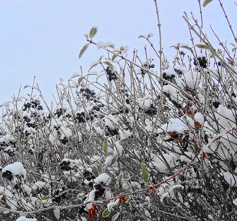 Kliknij na zdjęcie, żeby zobaczyć w pełnych wymiarach