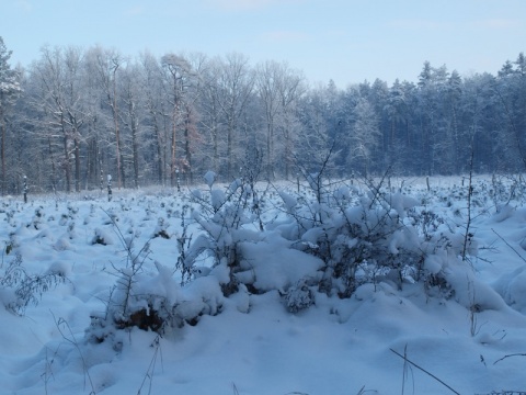 Kliknij na zdjęcie, żeby zobaczyć w pełnych wymiarach