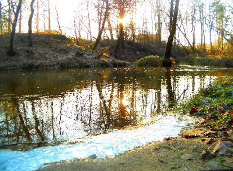 Kliknij na zdjęcie, żeby zobaczyć w pełnych wymiarach