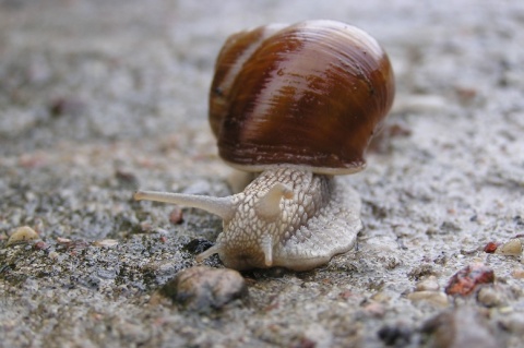 Kliknij na zdjęcie, żeby zobaczyć w pełnych wymiarach