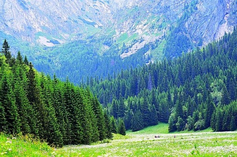 Kliknij na zdjęcie, żeby zobaczyć w pełnych wymiarach