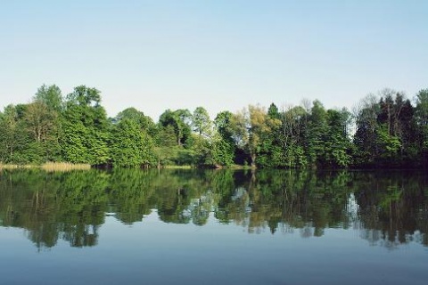 Kliknij na zdjęcie, żeby zobaczyć w pełnych wymiarach