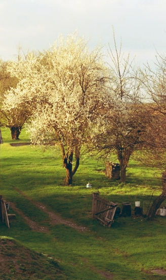 Kliknij na zdjęcie, żeby zobaczyć w pełnych wymiarach