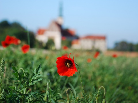 Kliknij na zdjęcie, żeby zobaczyć w pełnych wymiarach