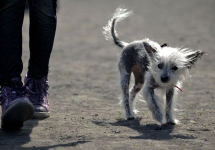 Kliknij na zdjęcie, żeby zobaczyć w pełnych wymiarach