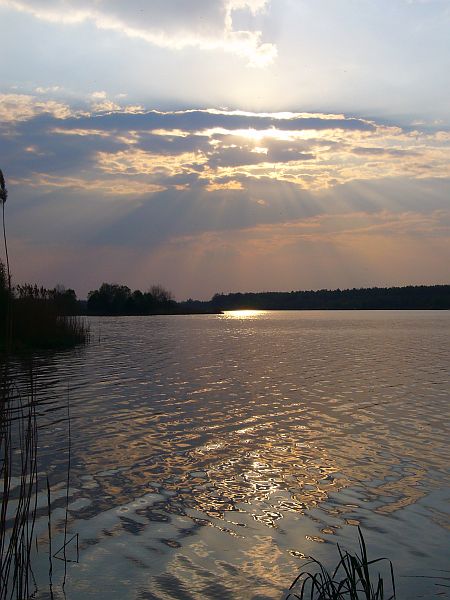 Kliknij na zdjęcie, żeby zobaczyć w pełnych wymiarach