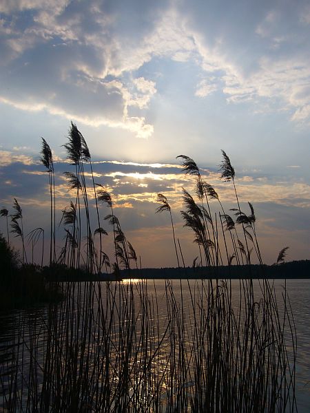 Kliknij na zdjęcie, żeby zobaczyć w pełnych wymiarach