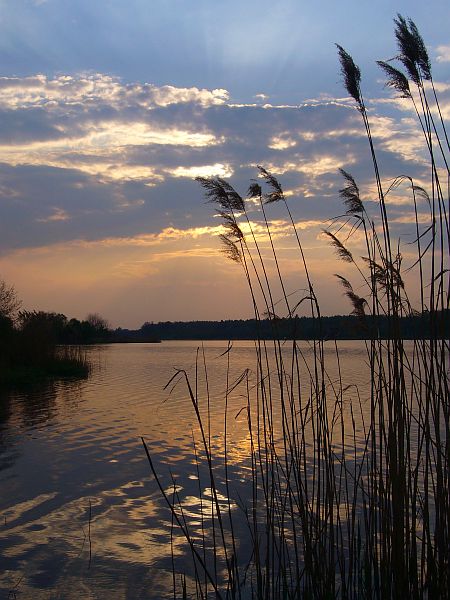 Kliknij na zdjęcie, żeby zobaczyć w pełnych wymiarach