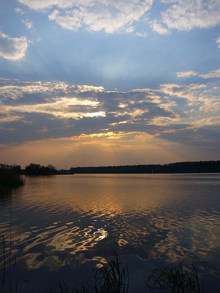 Kliknij na zdjęcie, żeby zobaczyć w pełnych wymiarach