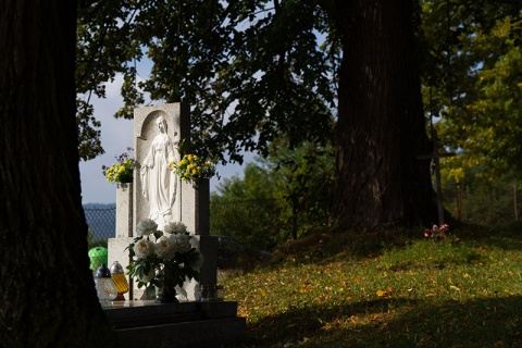 Kliknij na zdjęcie, żeby zobaczyć w pełnych wymiarach